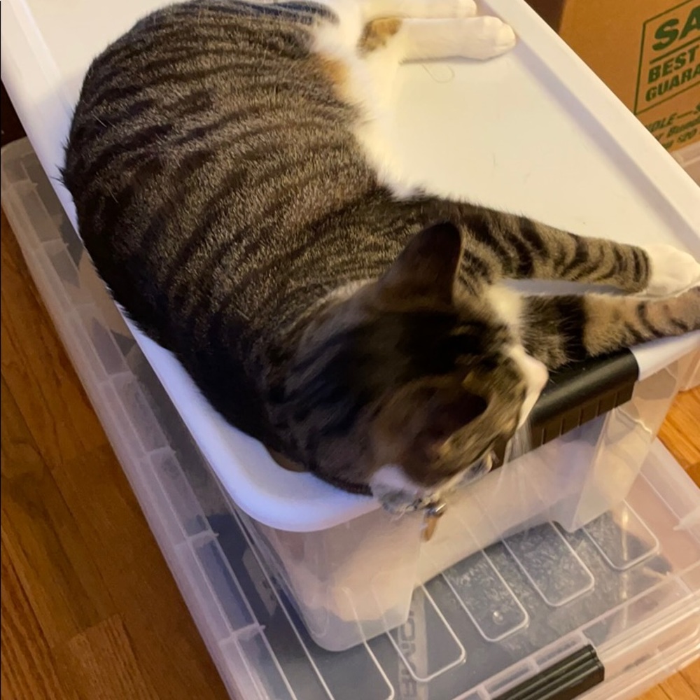 Meet your Posher, Jennie